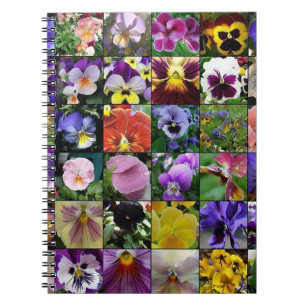 Pansy Pansies   Notebook