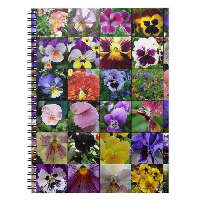Pansy Pansies   Notebook (Front)
