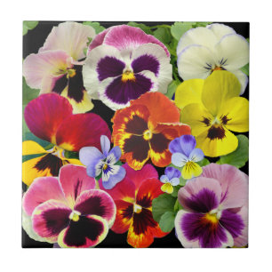 Pansy Patchwork Tile