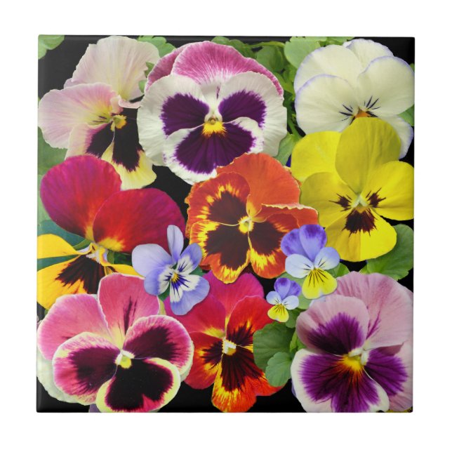 Pansy Patchwork Tile (Front)