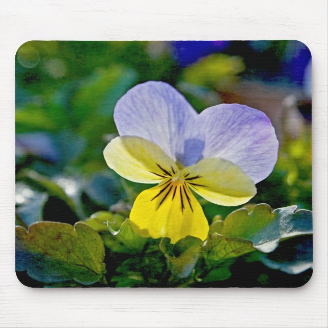 Pansy Perfection Mouse Pad (Front)