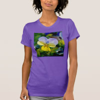 Pansy Perfection