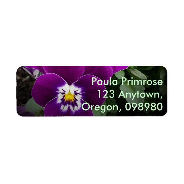 Pansy Purple Garden (Front)