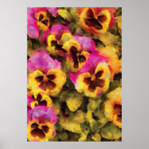 Pansy - Purple & Yellow Pansies Poster