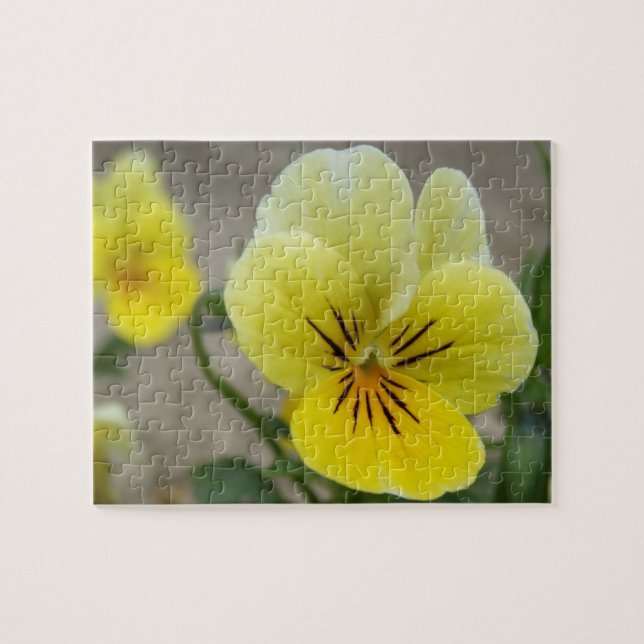 Pansy Puzzle (Horizontal)