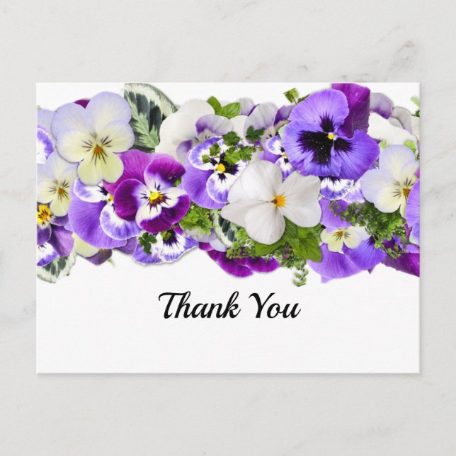Pansy Thank You Postcard (Front)