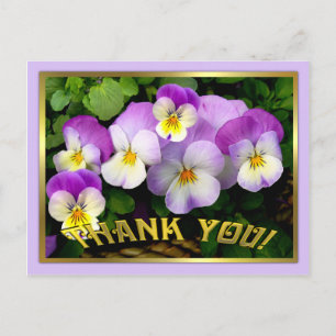 Pansy ~ Thank You ~ Postcard