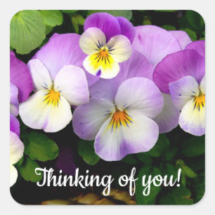 Pansy Thinking of You Square Sticker