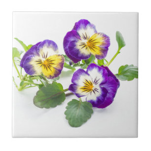 pansy tile