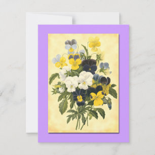Pansy Violets Blank Botanical Art Cartes