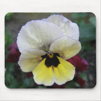 Pansy White and Yellow Mousepad