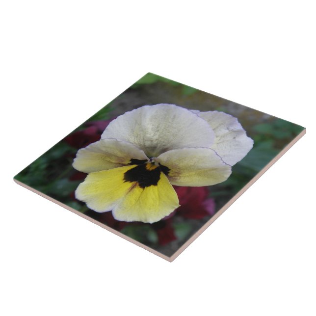 Pansy White and Yellow Tile (Side)
