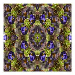 Pansy's on a platter... poster