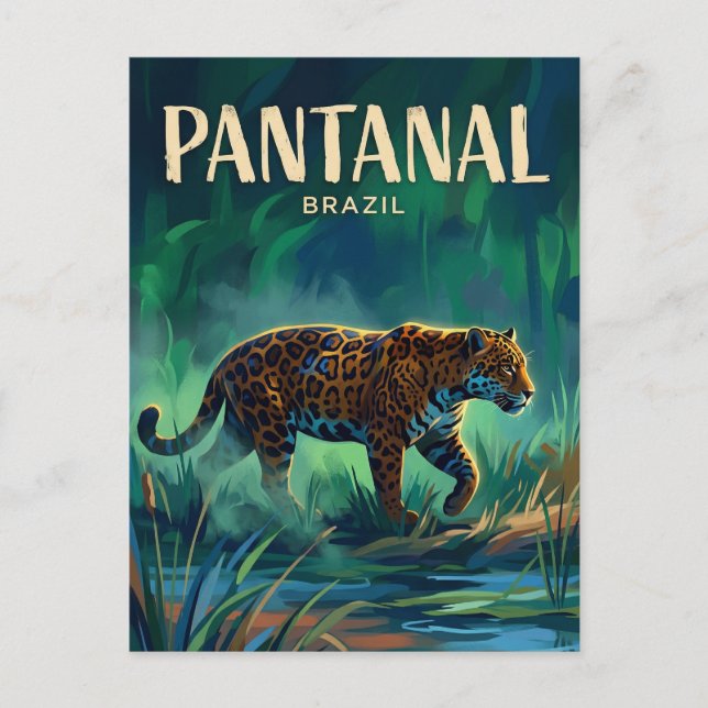 Pantanal Brazil Postcard (Front)