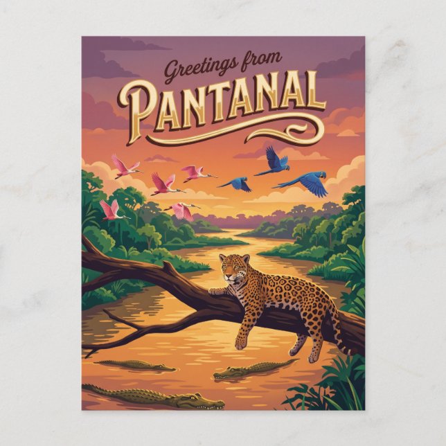 Pantanal Brazil Postcard (Front)