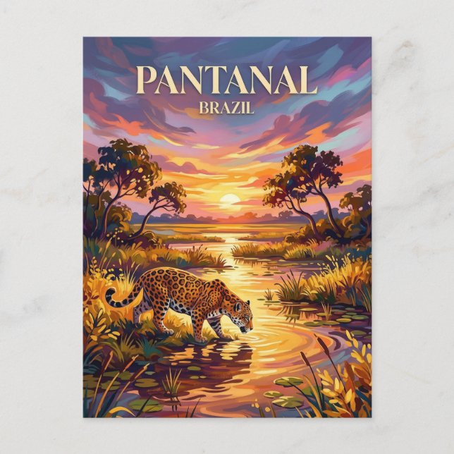 Pantanal Brazil Postcard (Front)