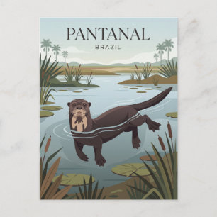 Pantanal Brazil Postcard