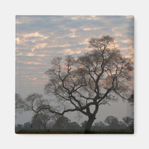 Pantanal Wetlands South America, Brazil Magnet