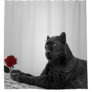 Panther and Red Rose