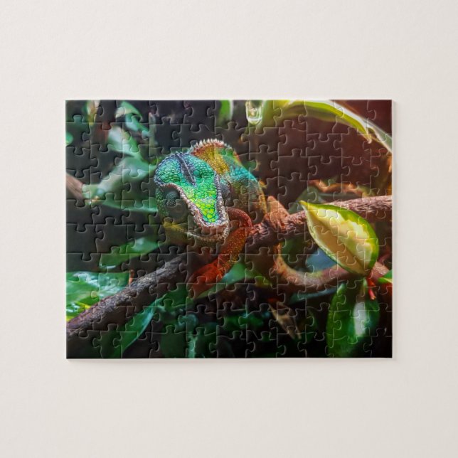 Panther Chameleon Owner Reptile Jigsaw Puzzle (Horizontal)