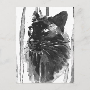 Panther Portrait Postcard