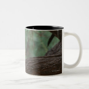 Panther Two-Tone Coffee Mug