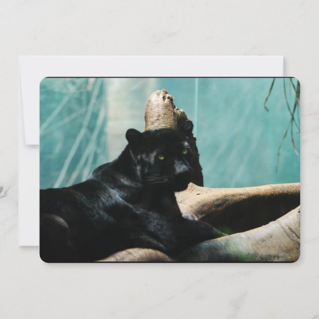 Panther with Piercing Eyes Invitation (Front)