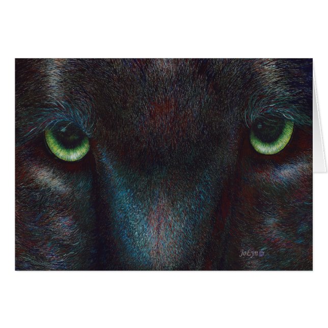 Panthère noire "Hyptnotist " (Devant horizontal)