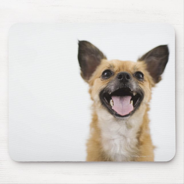 Panting dog mouse pad (Front)