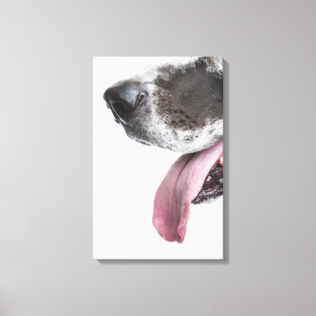 Panting Harlequin Great Dane Canvas Print (Front)