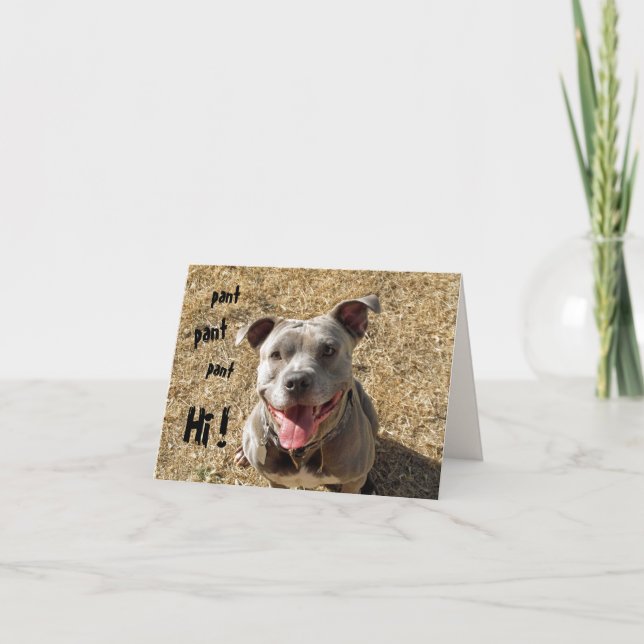 Panting Pitbull Hi Notecard (Front)