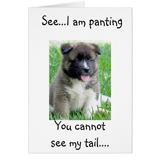 PANTING & TAIL WAGGING PUP IN LOVE! (Front)