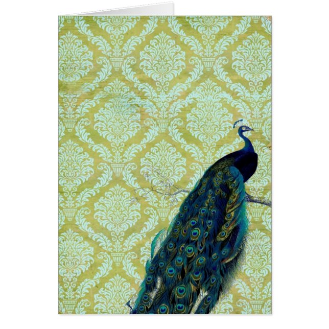 Paon vintage (Devant)