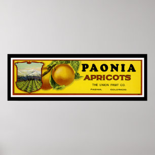 Paonia Apricots Label Art Poster