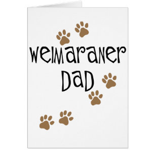 Papa de Weimaraner