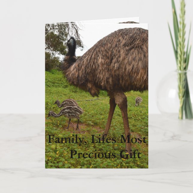 Papa Et Bébé Emu Chicks, Carte Amour Anniversaire. (Devant)