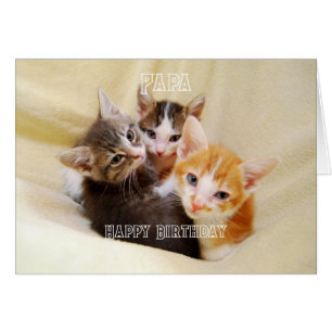 Papa, Warm and Fuzzy Kitten Trio Happy Birthday