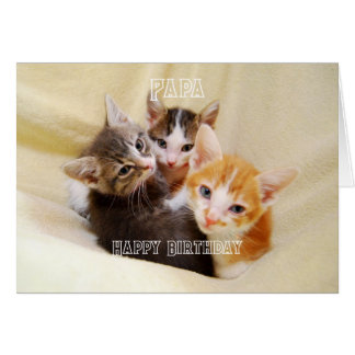Papa, Warm and Fuzzy Kitten Trio Happy Birthday