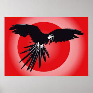 Papagei Ara Poster