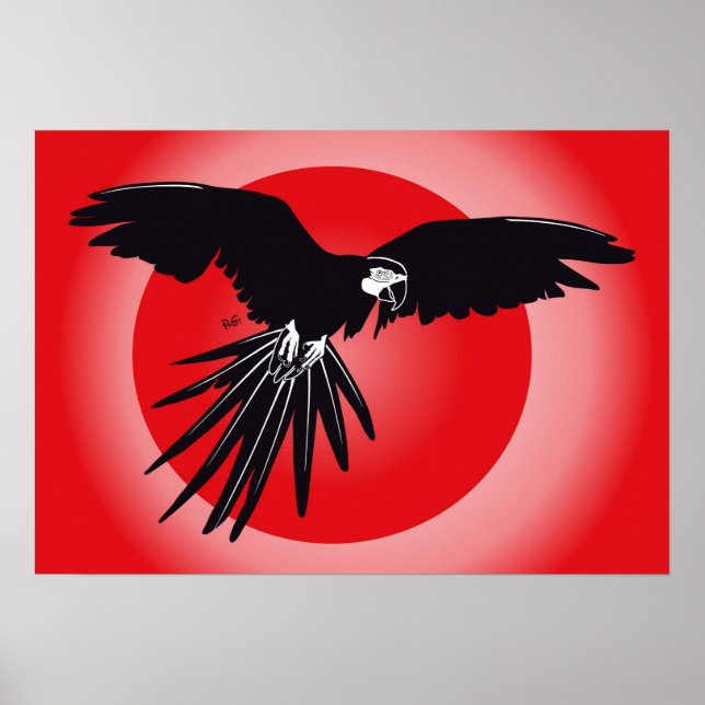 Papagei Ara Poster (Front)