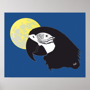 Papagei Ara Poster