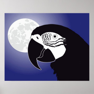 Papagua Ara Poster