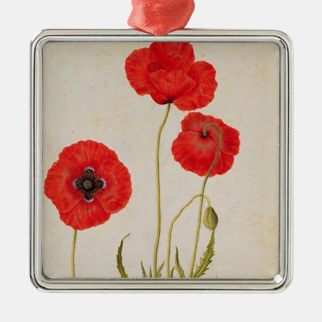 Papavar rhoeas, c.1568 metal ornament (Front)