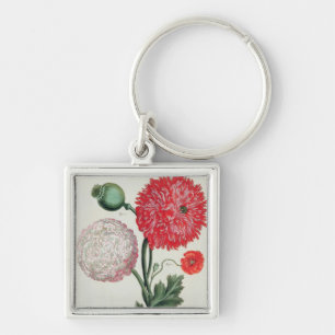 Papaver somniferum and Papaver rheas engraved by G Keychain