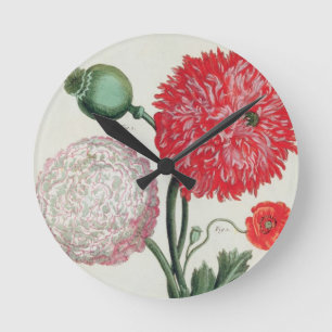 Papaver somniferum and Papaver rheas engraved by G Round Clock