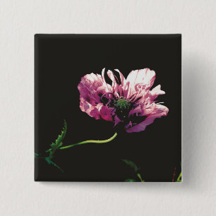 Papaver Sugarplum 2 Inch Square Button