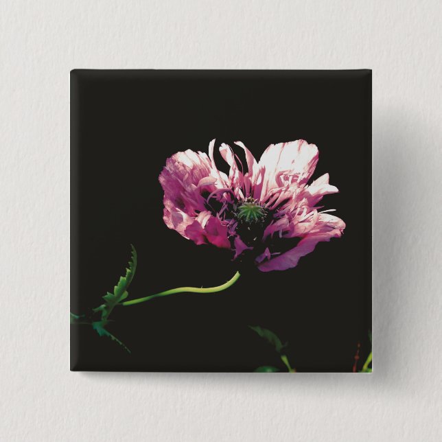 Papaver Sugarplum  2 Inch Square Button (Front)