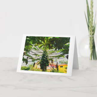 Papaya Tree Thank You Card