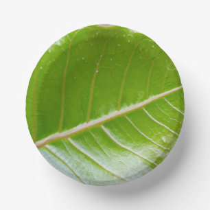 Paper Bowl with Leaf Design Plate