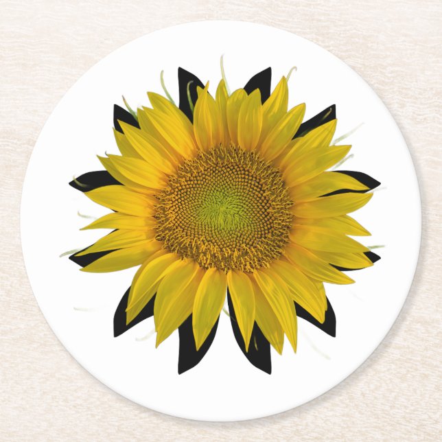 Paper Coaster (Front)